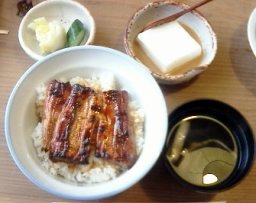 一幸のうな丼と胡麻豆腐